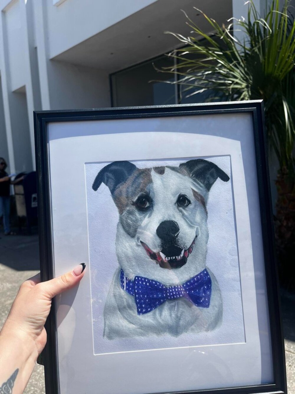 🎨 CUSTOM Pet Portraits | Hand Drawn from Your Photo | Memorial & Gift Artwork - Picture 6 of 8